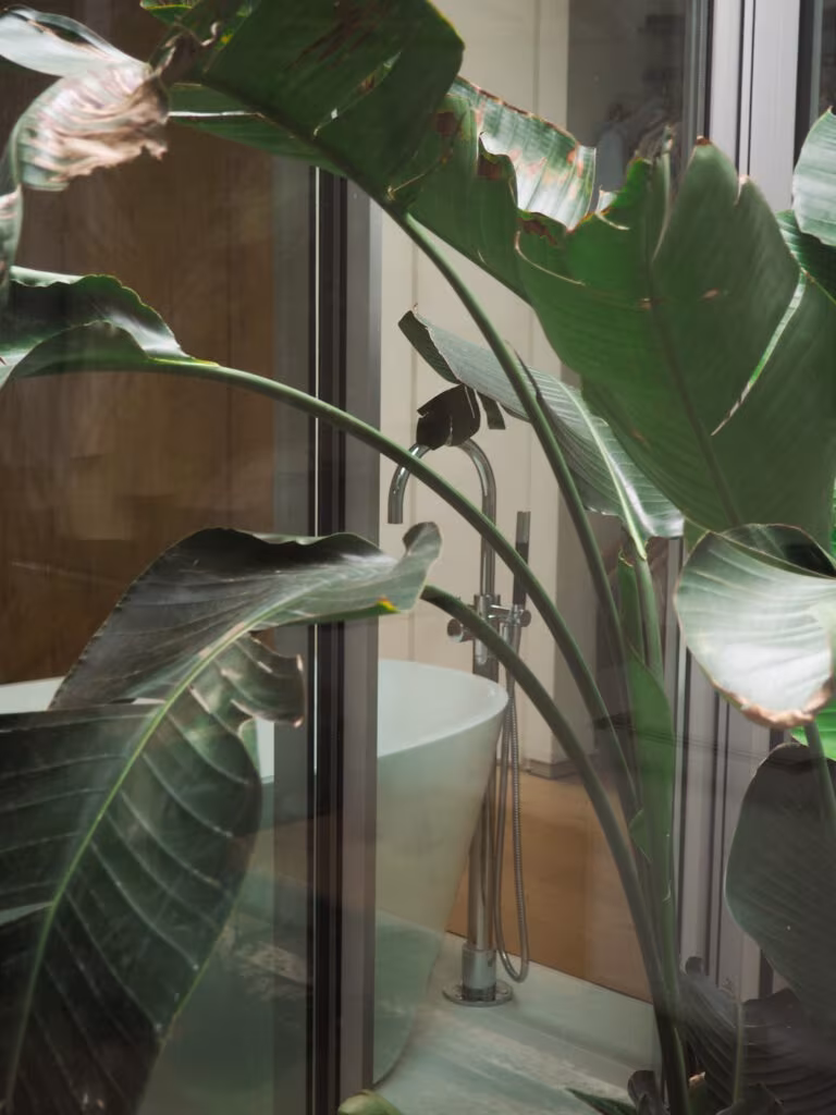 Hojas de strelitzia ante la cristalera de un baño con bañera exenta en la Casa de los arces de Ábaton