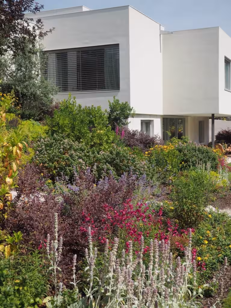 Volumen blanco de la vivienda de Aravaca tras un macizo de flores y arbustos en el Proyecto AB