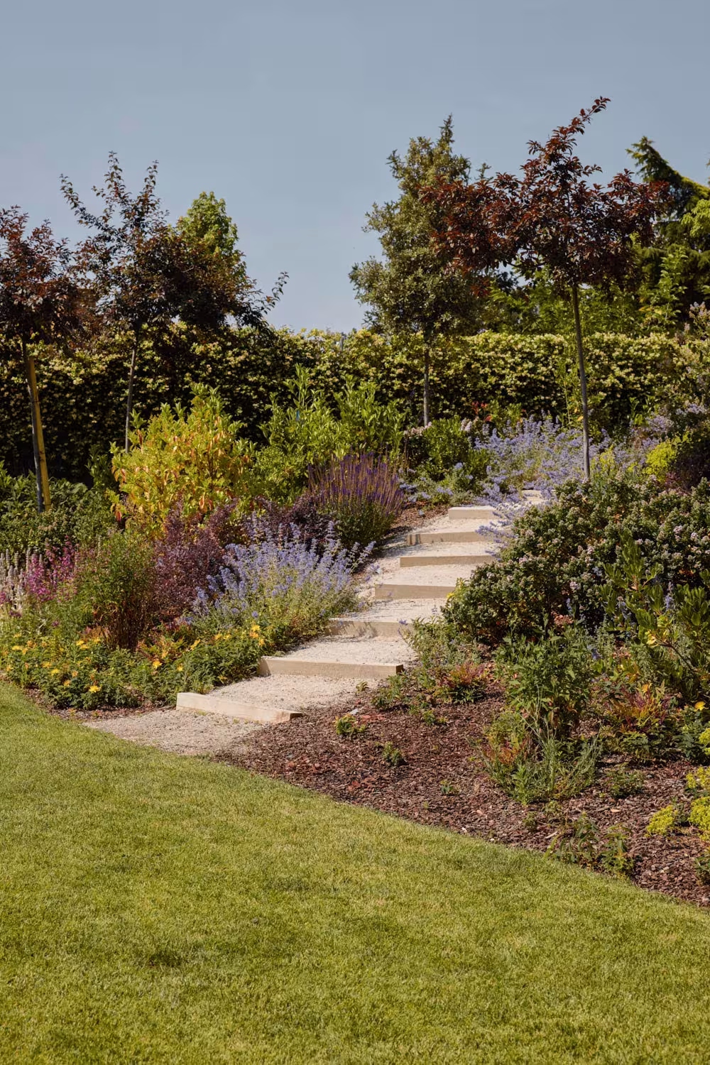 Escalera de piedra entre césped y ladera plantada de salvias y arbustos en el jardín del Proyecto AB