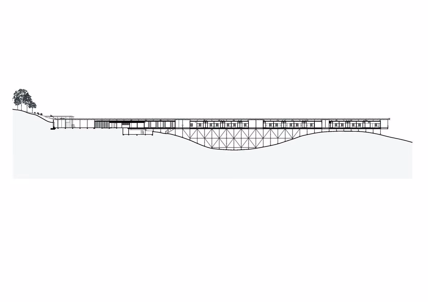 Sección longitudinal del puente de Bundanon sobre estructura triangulada apoyada en la vaguada