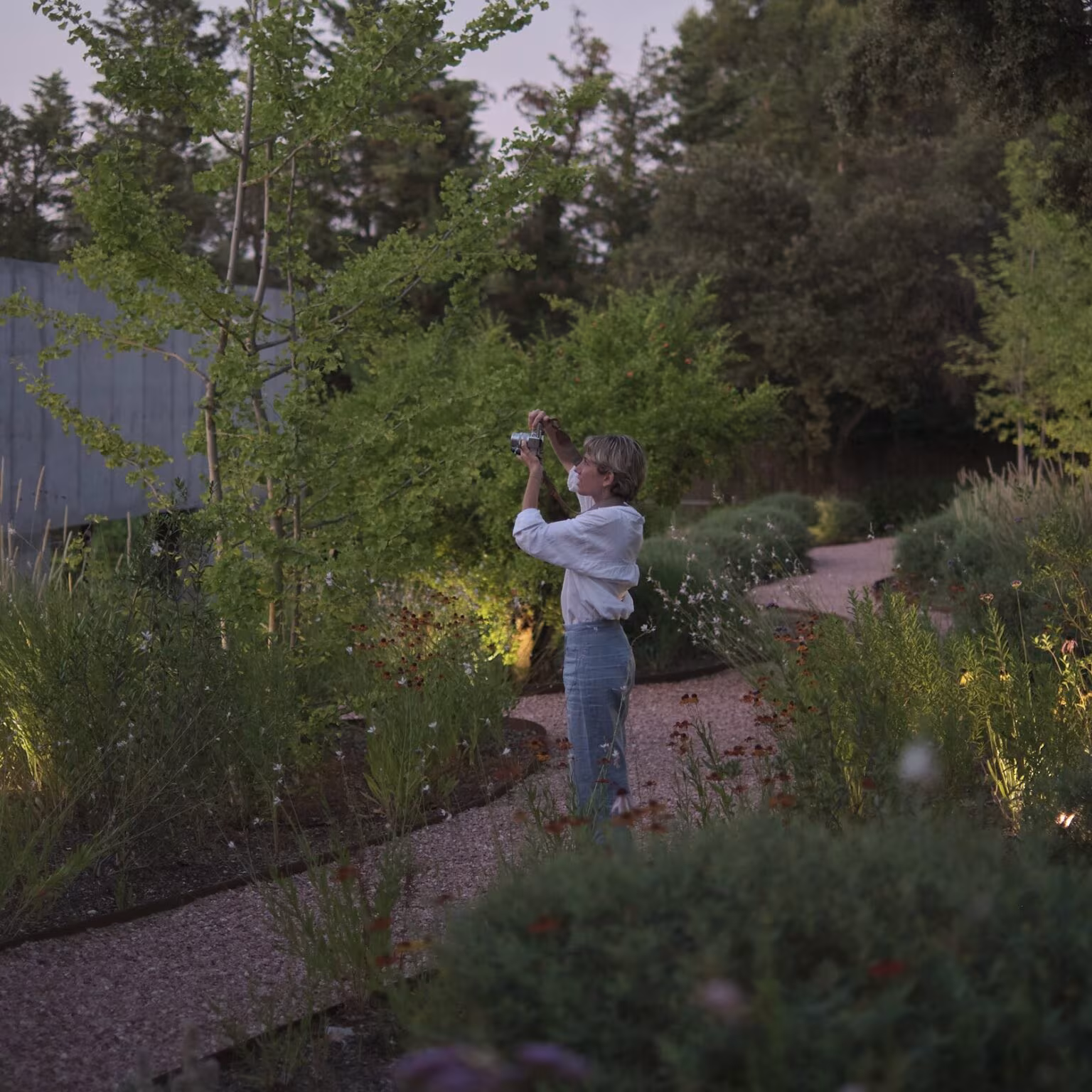 A woman photographing a garden of shrubs and grasses at sunset, as part of a landscaping project by Ábaton