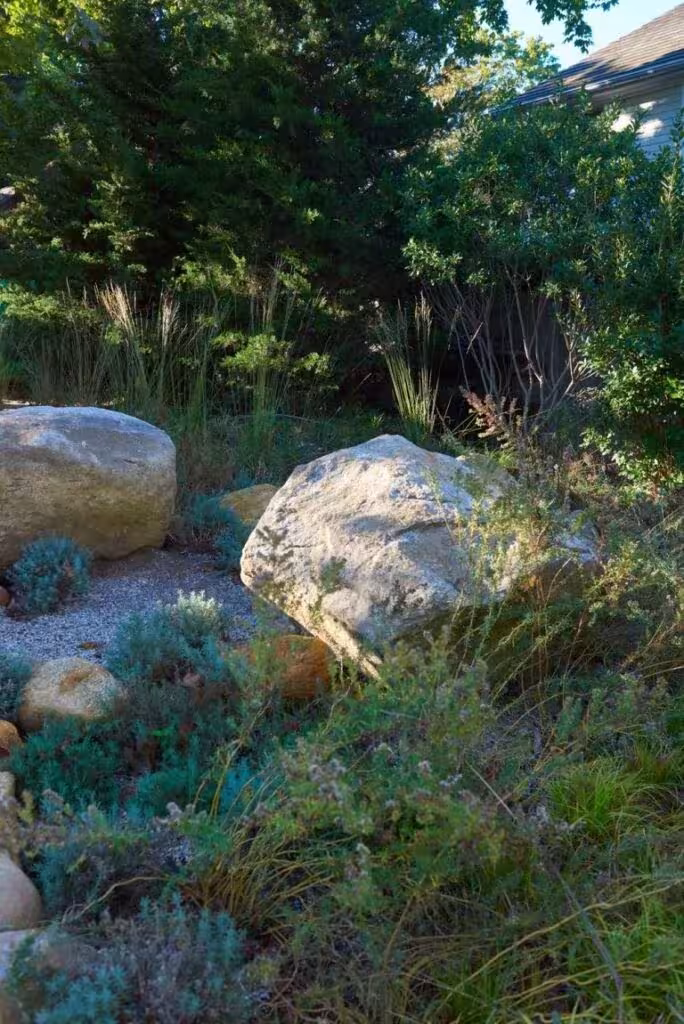 Rocas grandes entre gravas, gramíneas y plantas bajas de un jardín seco y silvestre