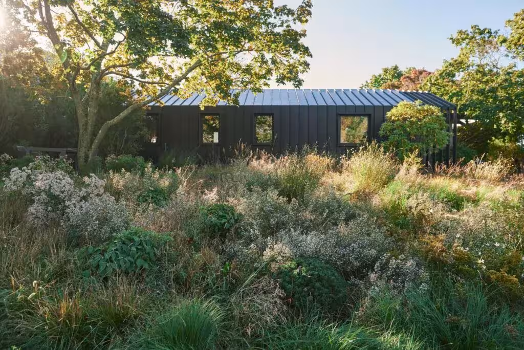 Casa de fachada oscura entre gramíneas y arbustos nativos en el jardín silvestre de Demauro Hamptons Landscapes