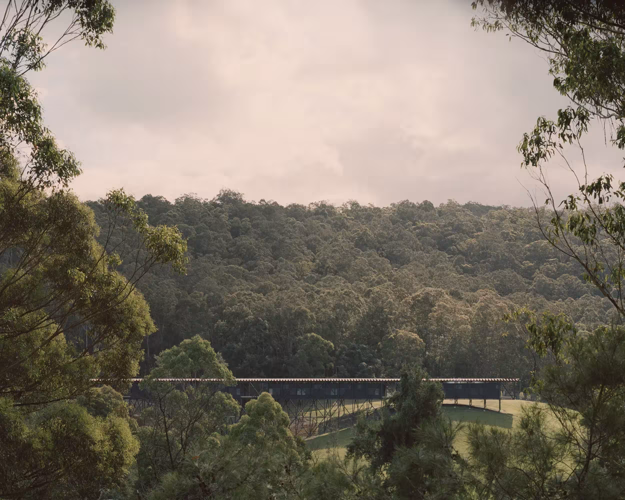 Valle boscoso de Bundanon, en New South Wales, con el puente del museo apenas visible entre la vegetación