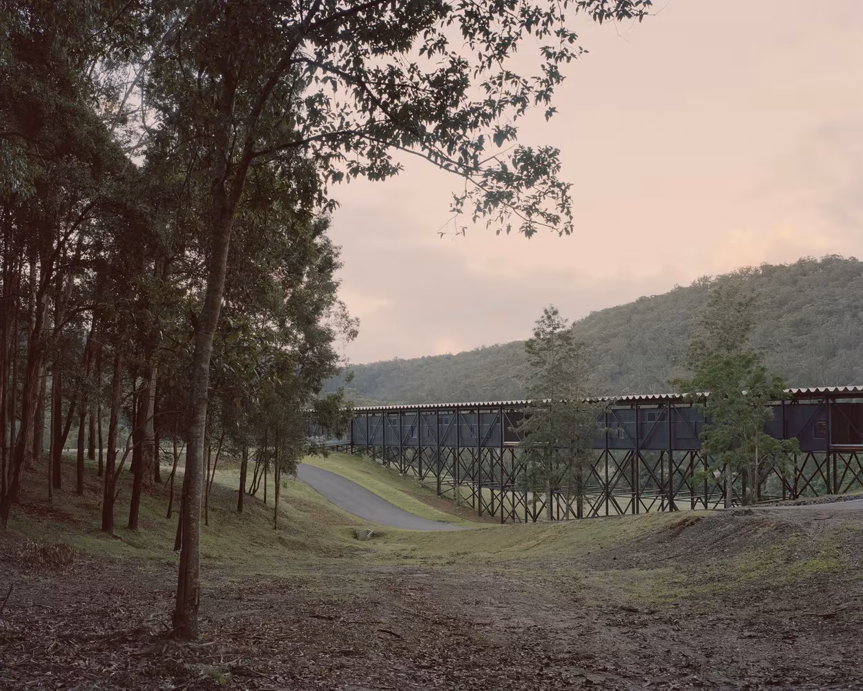 Puente de Bundanon visto desde el bosque sobre pilotes, con la colina australiana al fondo