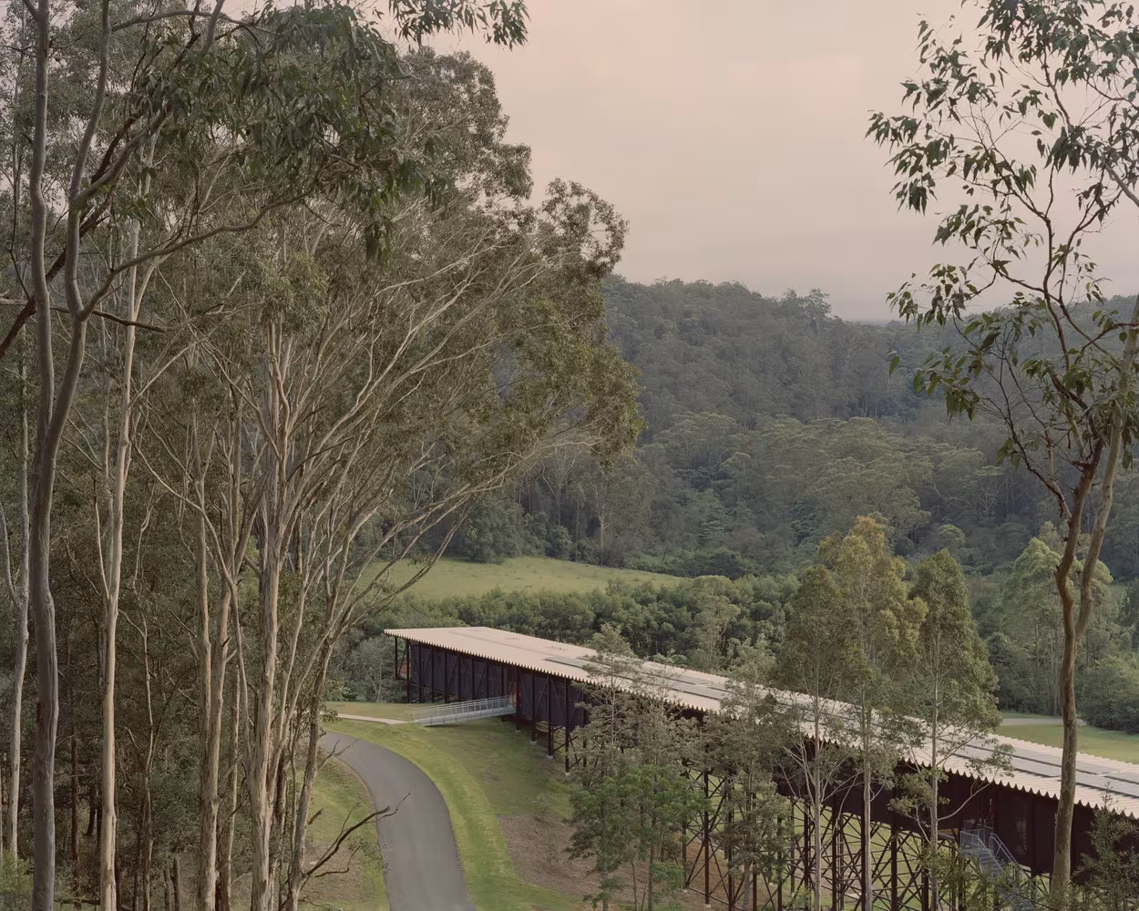 Edificio alargado de Bundanon junto al camino de acceso entre eucaliptos en New South Wales