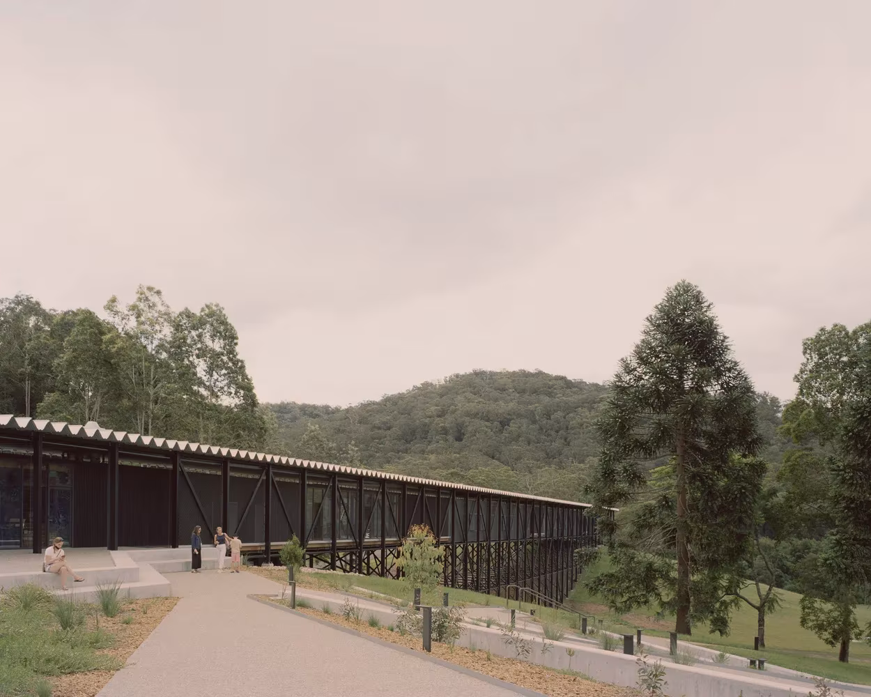 Puente-museo de Bundanon, largo volumen oscuro sobre pilotes, visto desde el camino entre pinos y colinas