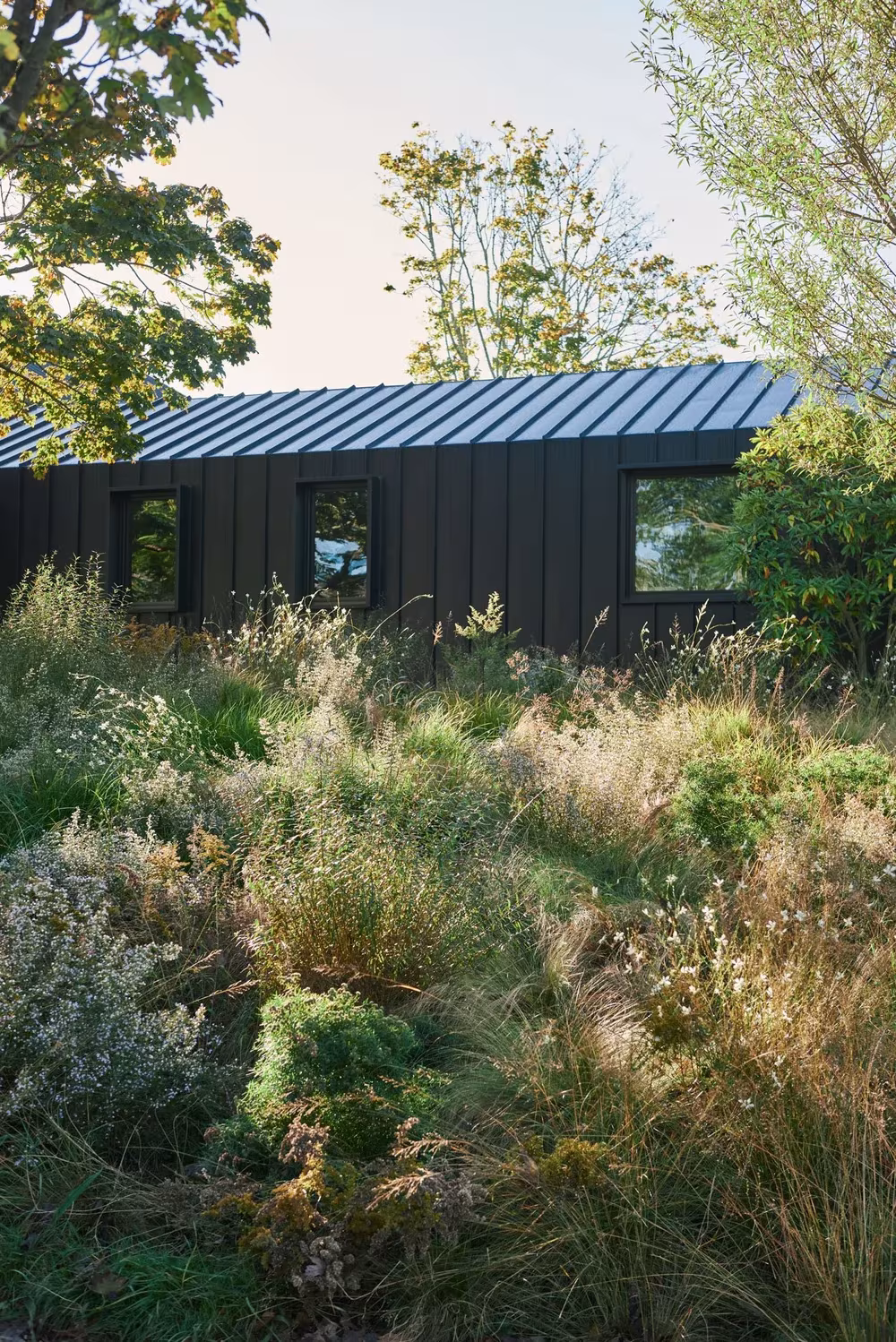 Fachada de zinc oscuro con ventanas pequeñas tras una pradera de plantas nativas polinizadoras