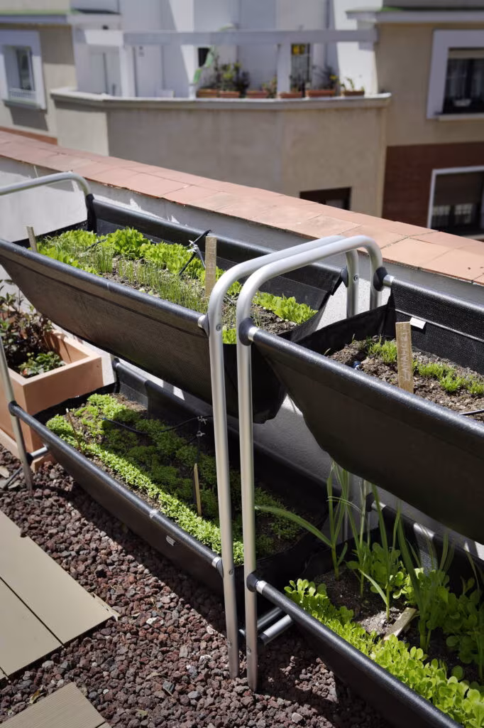 Metal planters hung from the railing with herbs and vegetables over gravel on the Rosales terrace