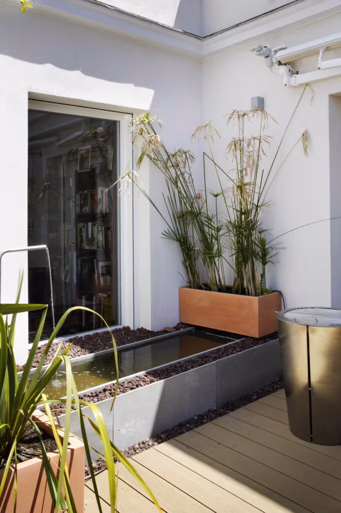 Terrace corner with a papyrus planter and small metal pond before a glazed door in Rosales