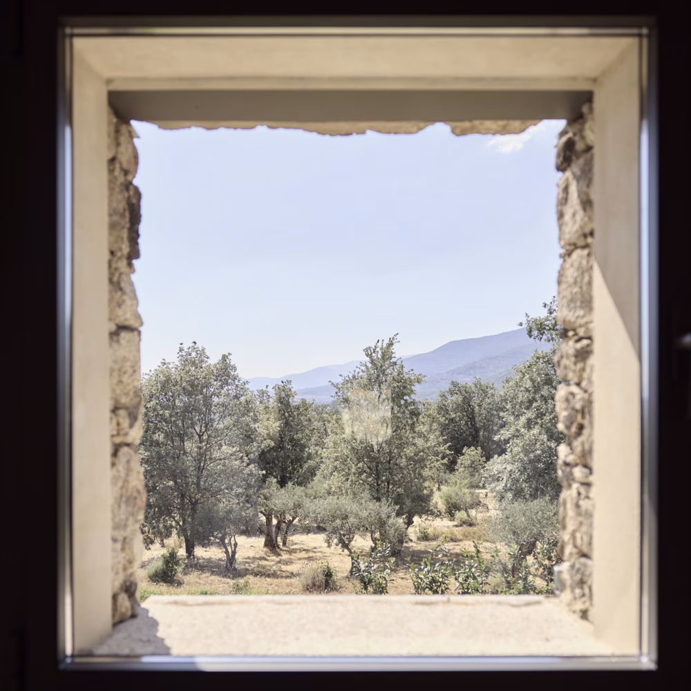 Ventana cuadrada con jambas de piedra que enmarca los olivos y la sierra en el Proyecto TLV