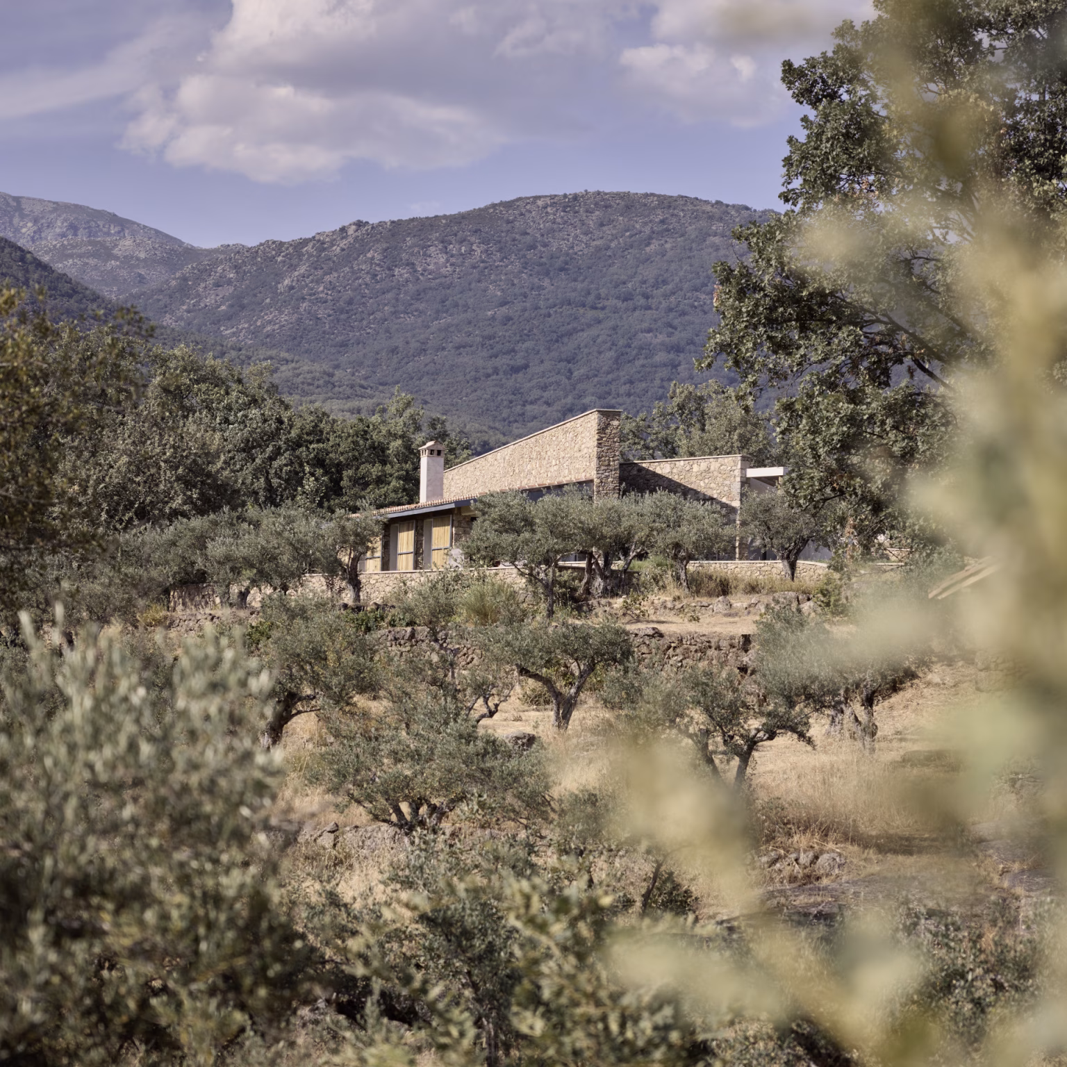 Casa de piedra entre olivos con la sierra al fondo en el Proyecto TLV de ÁBATON, casa de campo en el olivar