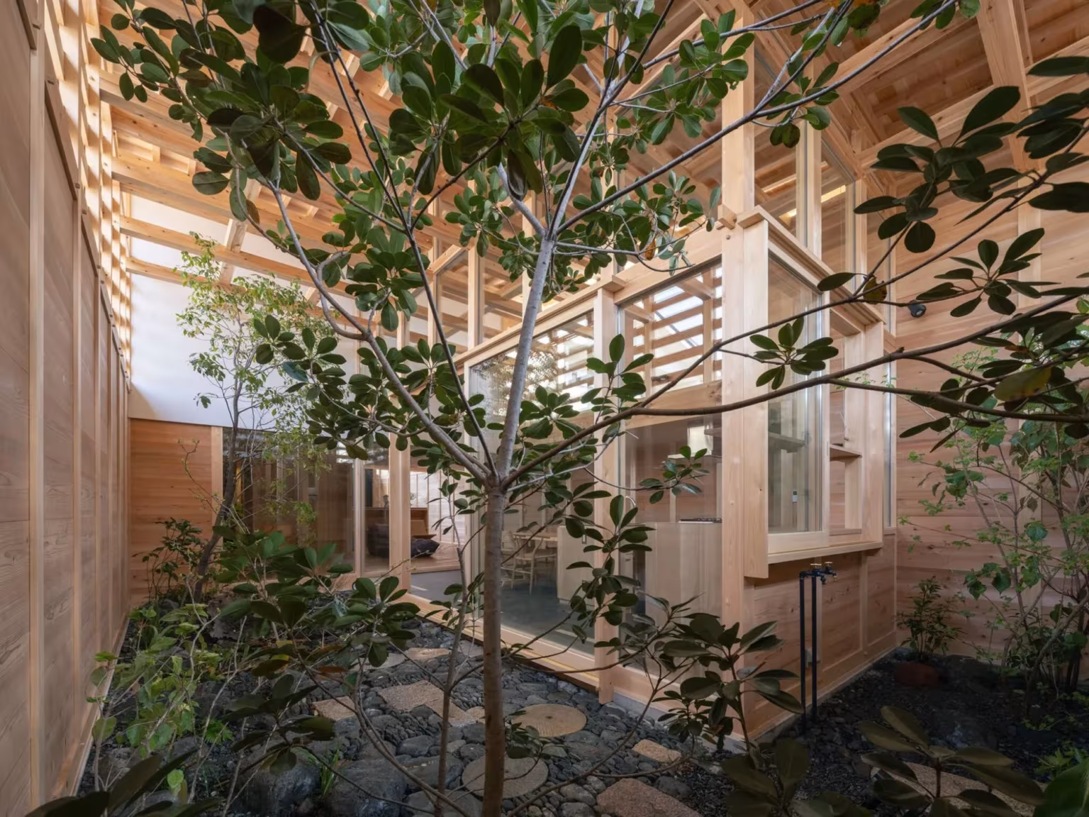 Árbol y suelo de piedra en el patio interior rodeado de muros de cedro y entramado de vigas, casa en Aichi