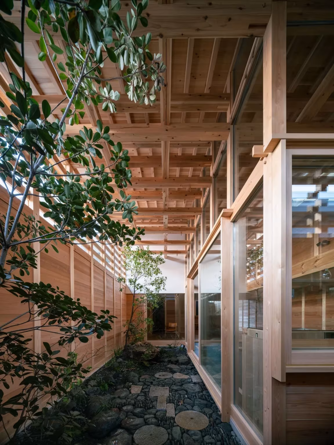 Patio interior con cantos rodados y árbol bajo el techo de vigas cruzadas de cedro en la casa en Aichi